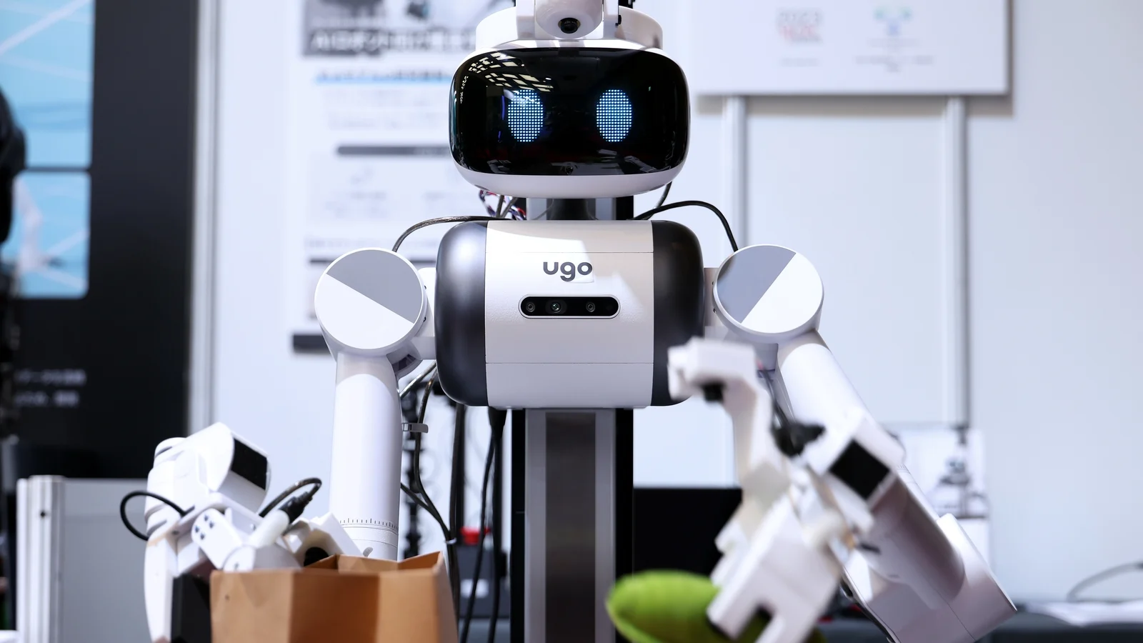 Robot yapay zeka şirketi Noetra Japonya’nın tek şansı kaldığını belirtiyor