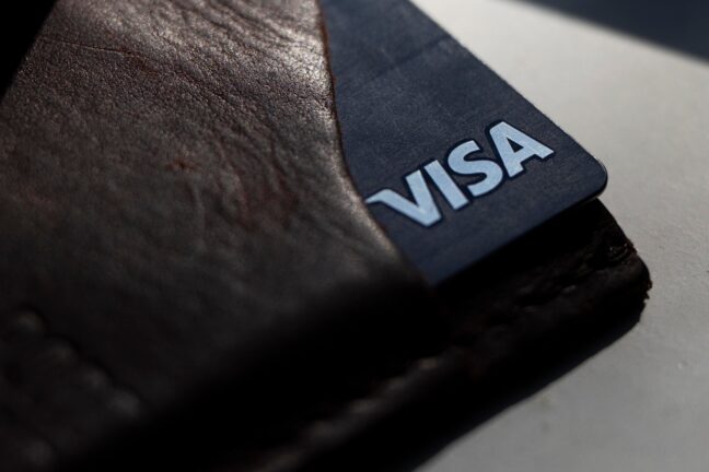 Visa verimlilik