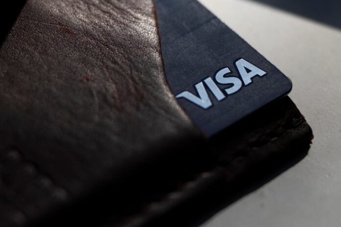 Visa verimlilik