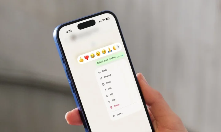 WhatsApp Plus emoji